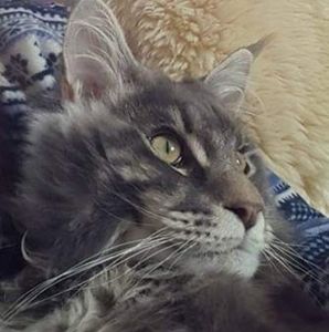 Meet your Posher, Kris